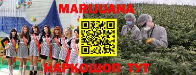 мяу мяу мука Гусиноозёрск