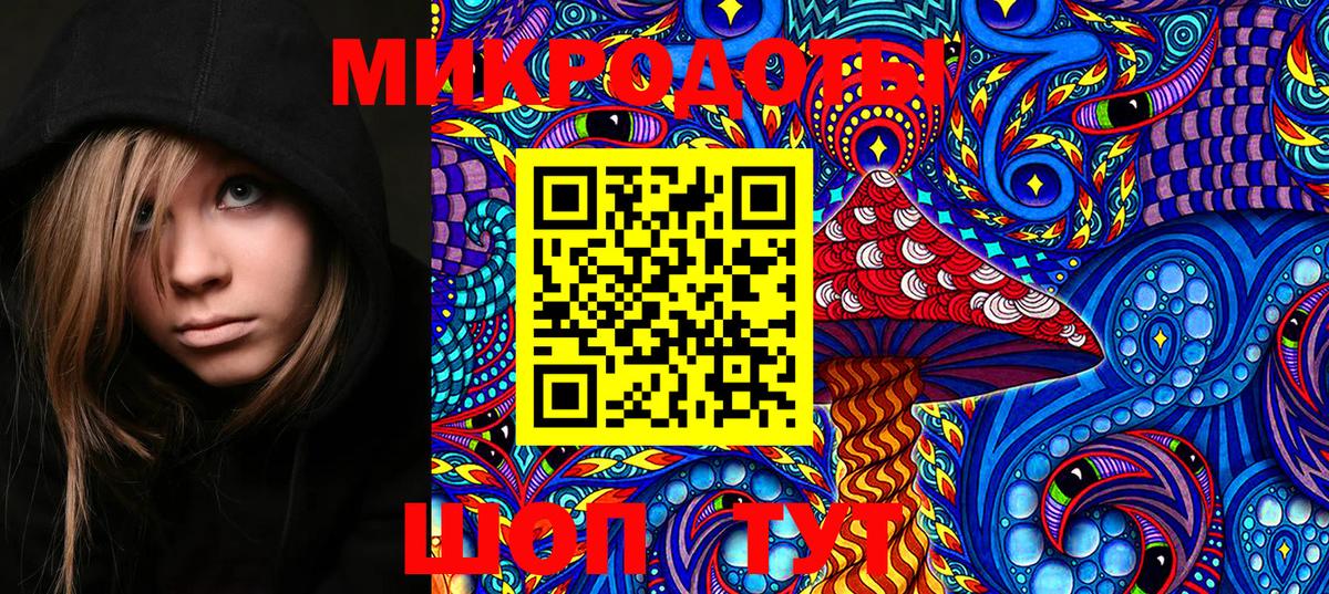 Киржач  Галлюциногенные грибы Psilocybe  Псилоцибиновые грибы Psilocybe  Вход с VPN 
