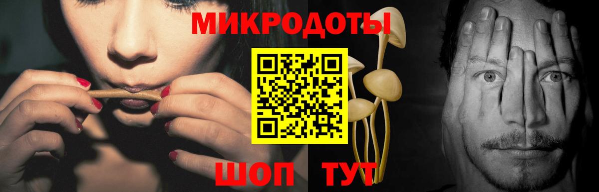 Галлюциногенные грибы Psilocybine cubensis Киржач